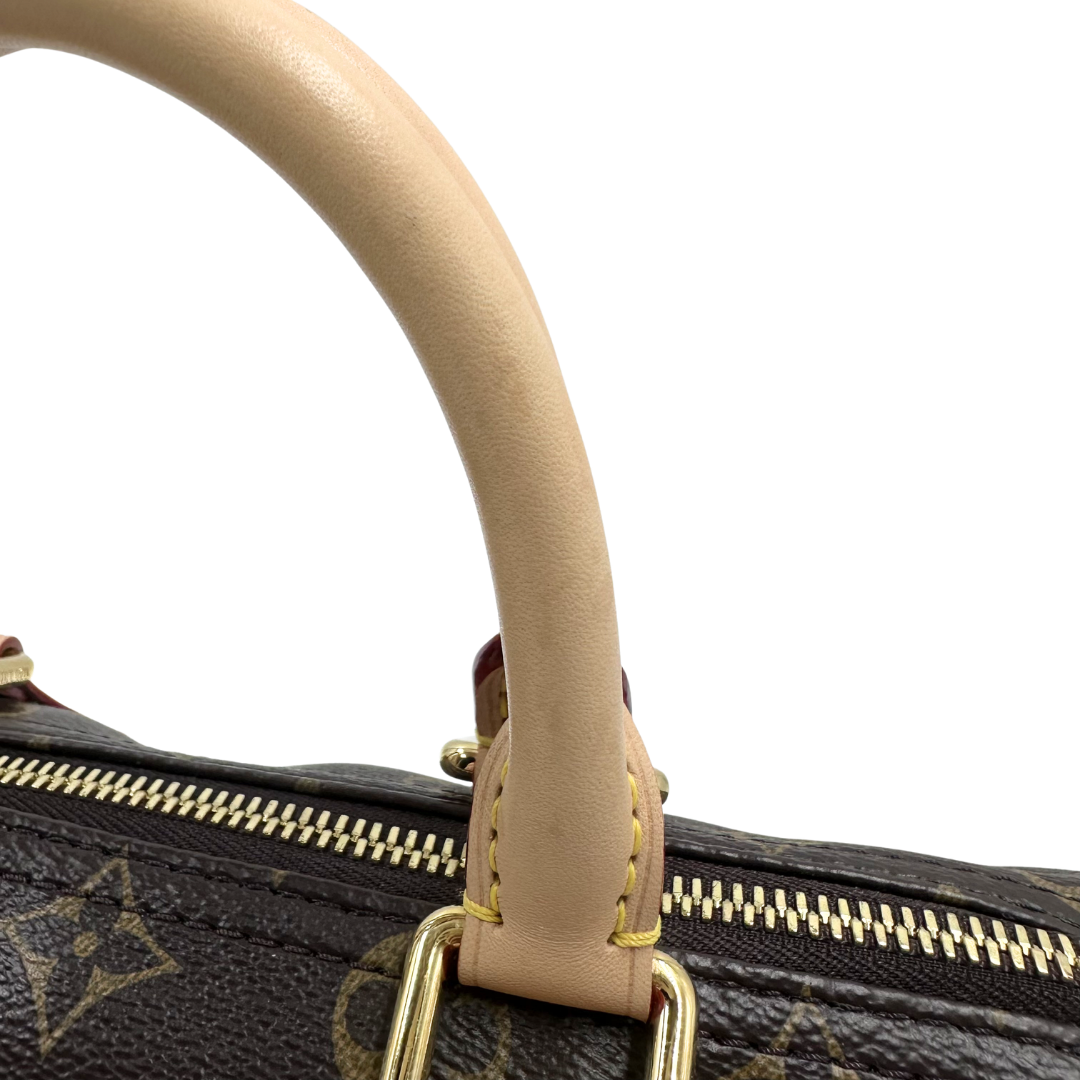 Louis Vuitton Limited Edition Speedy 25 Murakami Cherry Blossom Bandouliere