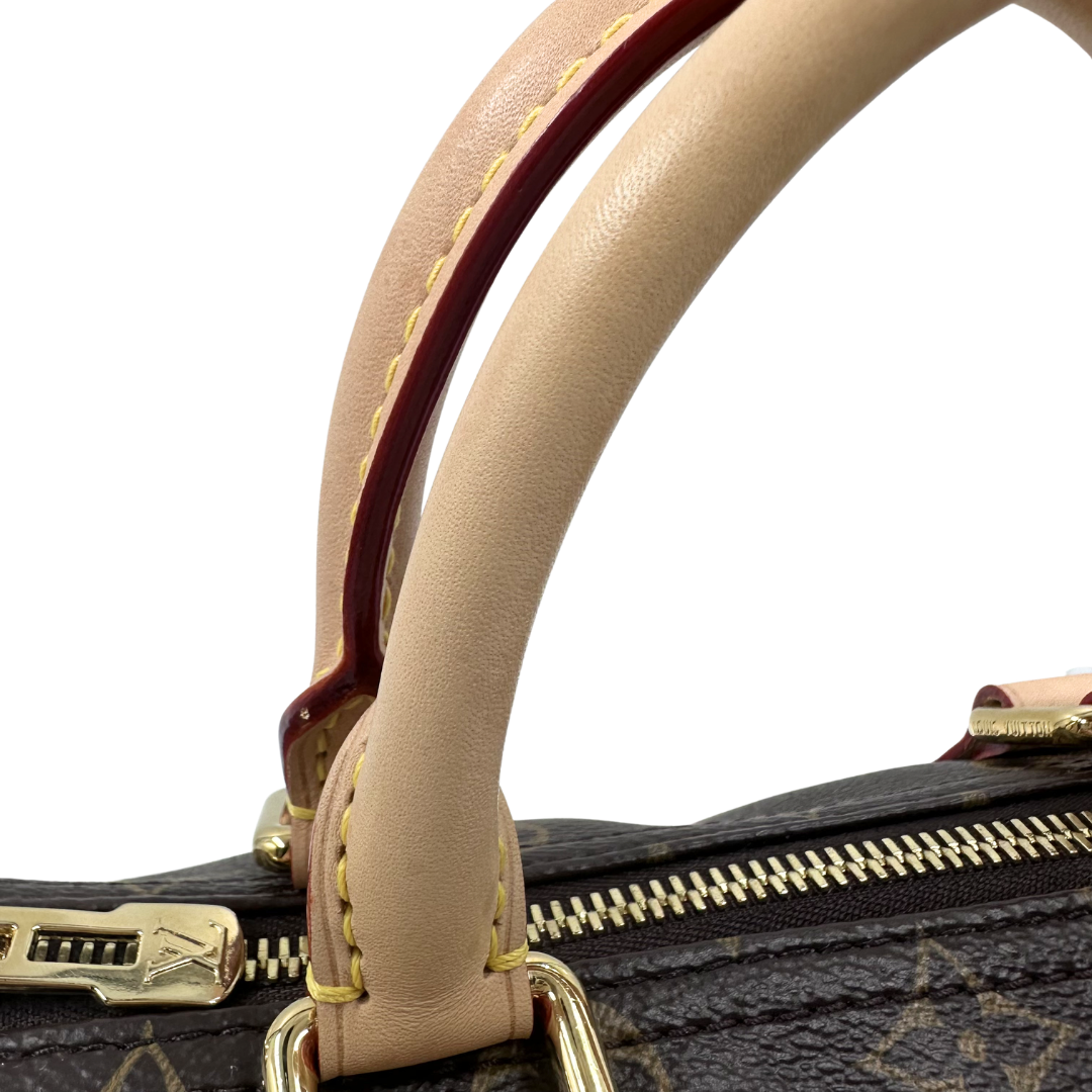 Louis Vuitton Limited Edition Speedy 25 Murakami Cherry Blossom Bandouliere