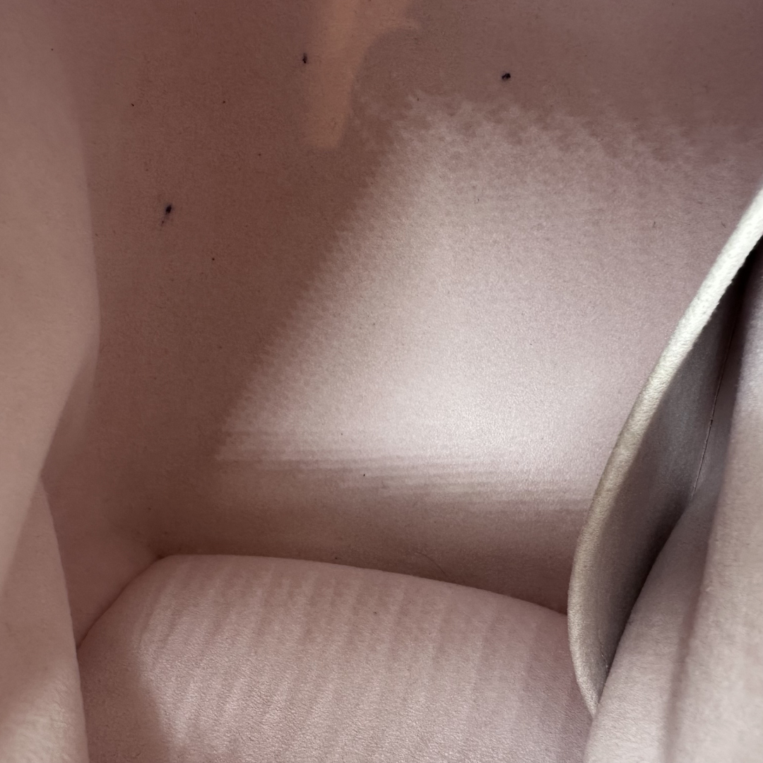 Louis Vuitton Limited Edition Speedy 25 Murakami Cherry Blossom Bandouliere