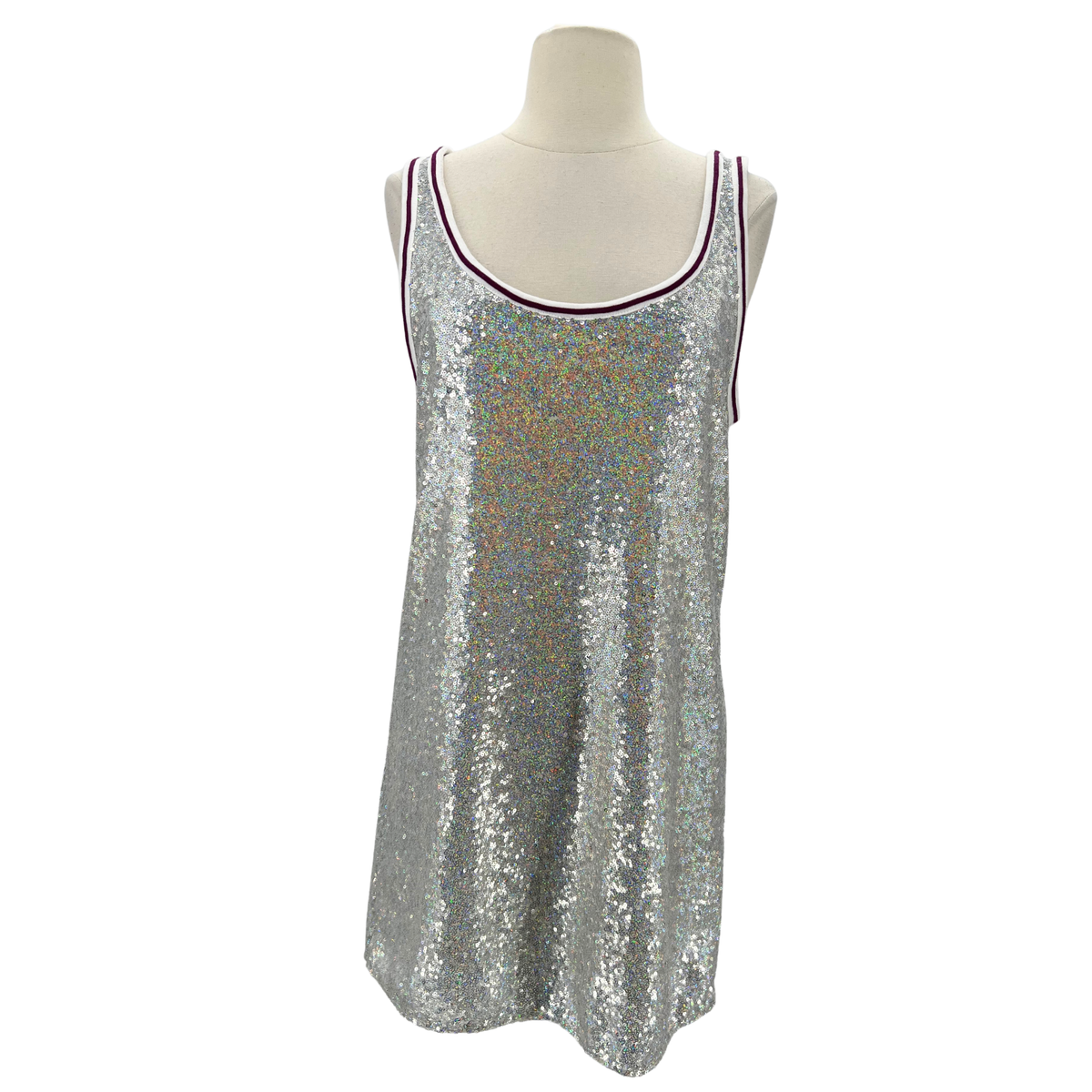 Longchamp Silver Dress