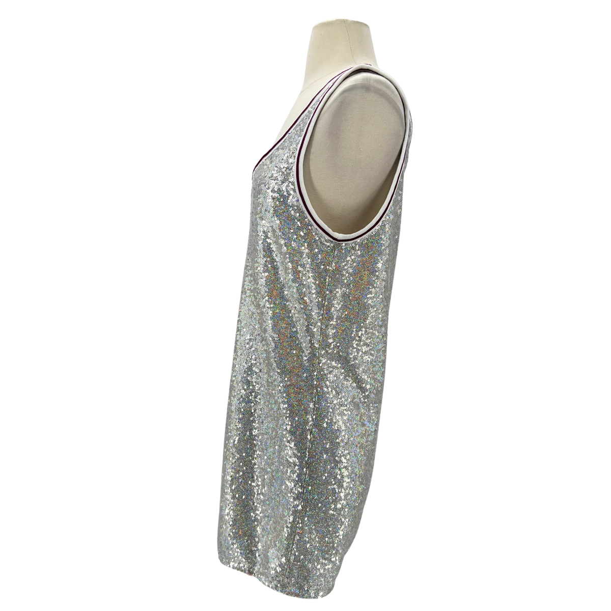 Longchamp Silver Dress