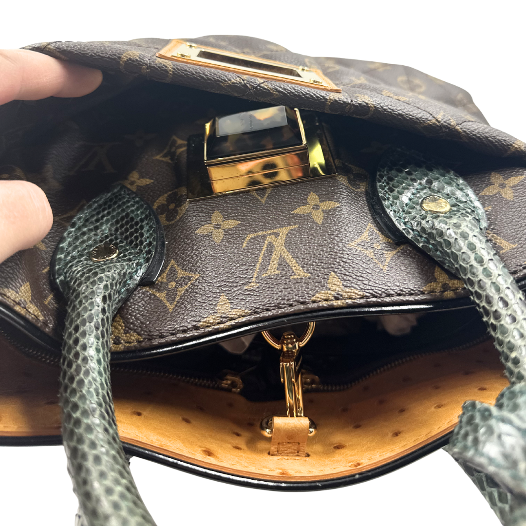 Louis Vuitton Monogram Etoile Exotique Two-way bag
