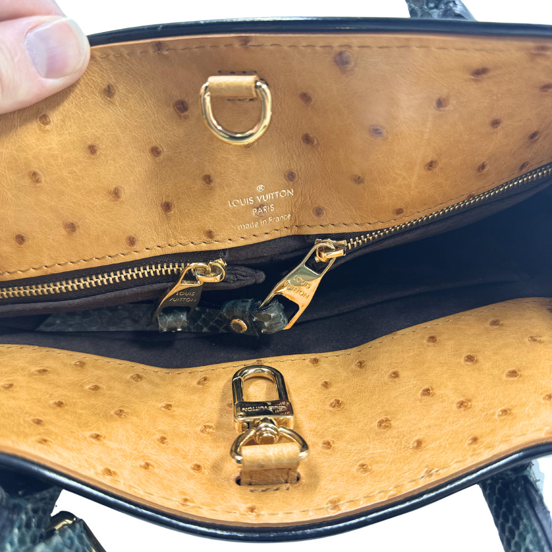 Louis Vuitton Monogram Etoile Exotique Two-way bag