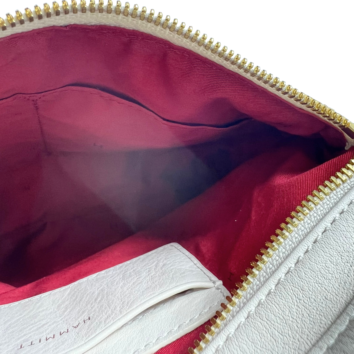 Hammitt Crossbody
