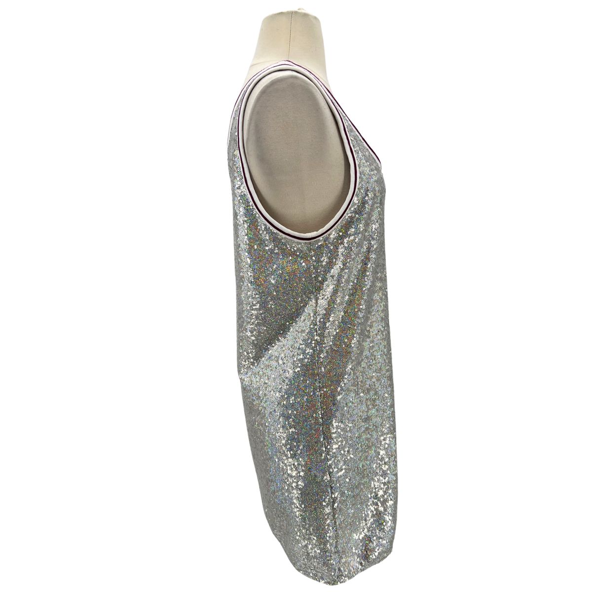 Longchamp Silver Dress