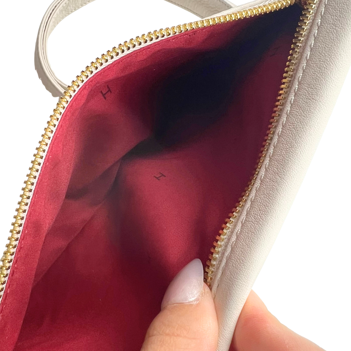 Hammitt Crossbody