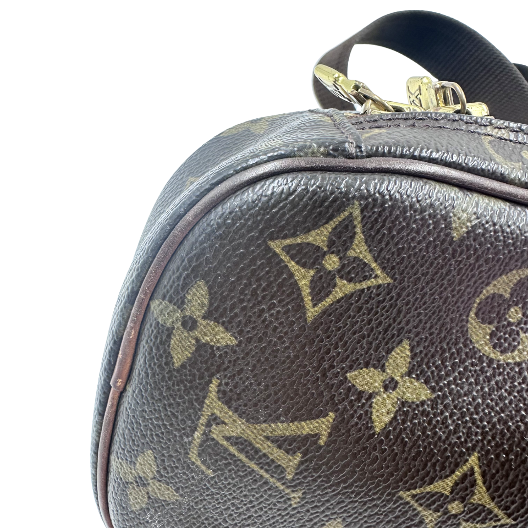 Louis Vuitton Pochette Gange Belt Bag