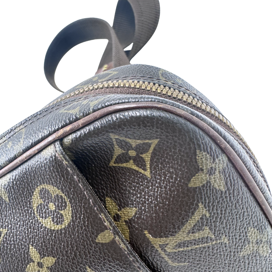 Louis Vuitton Pochette Gange Belt Bag