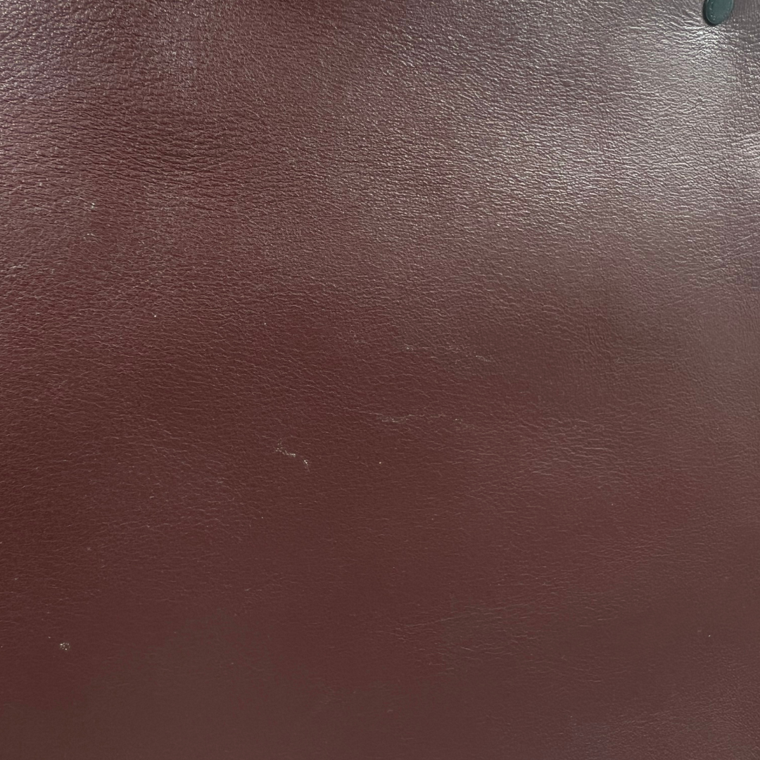 Coach Rogue Tote