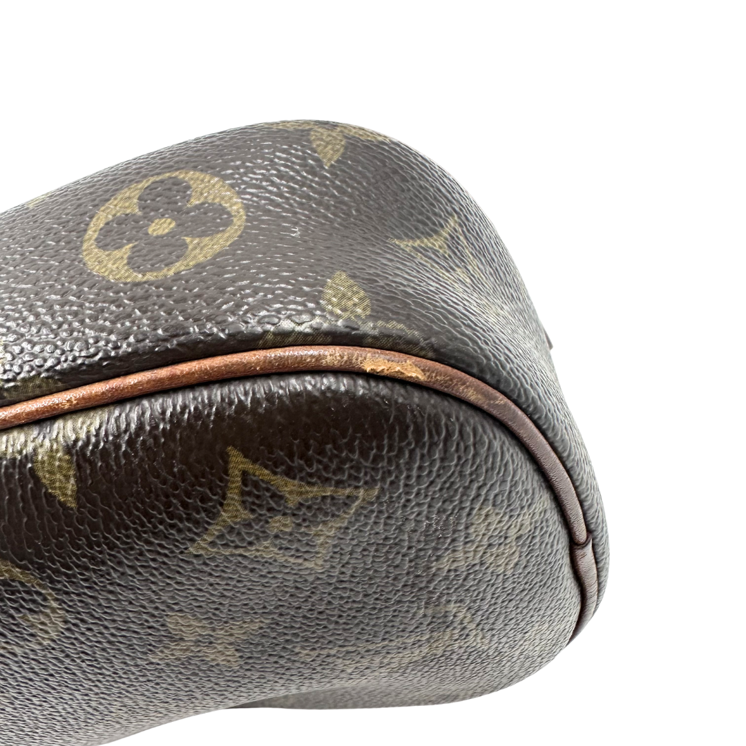 Louis Vuitton Pochette Gange Belt Bag