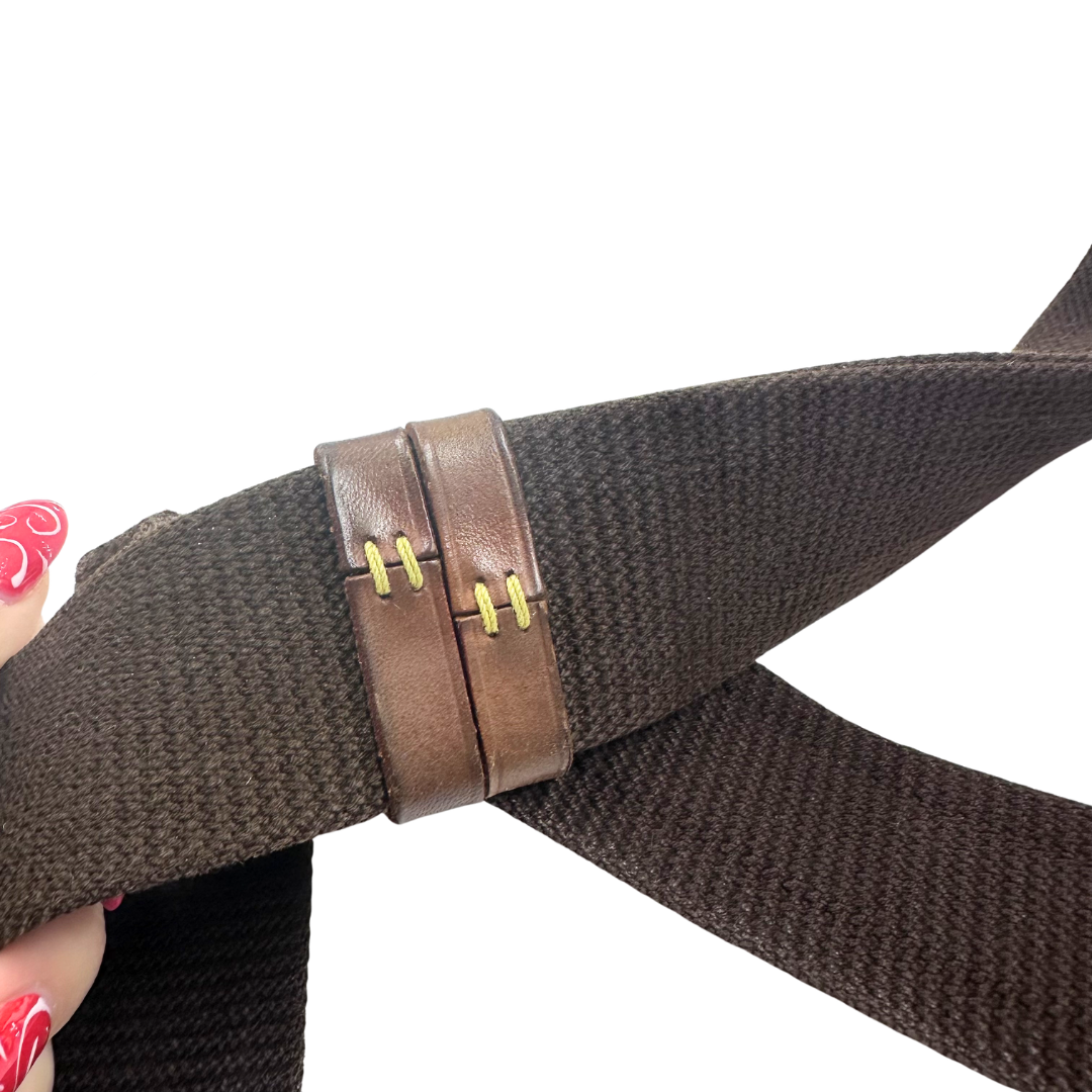 Louis Vuitton Pochette Gange Belt Bag