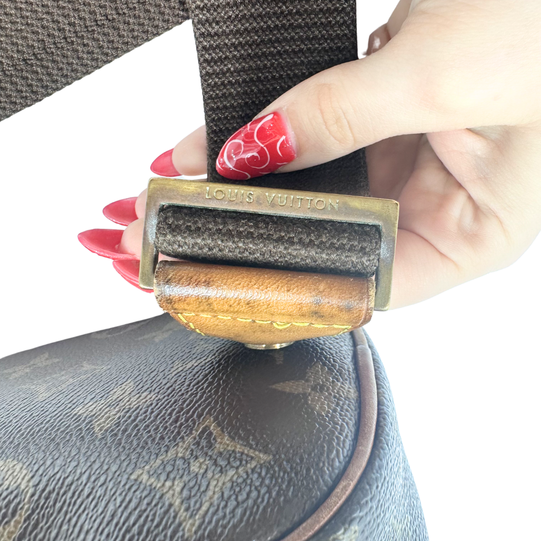 Louis Vuitton Pochette Gange Belt Bag