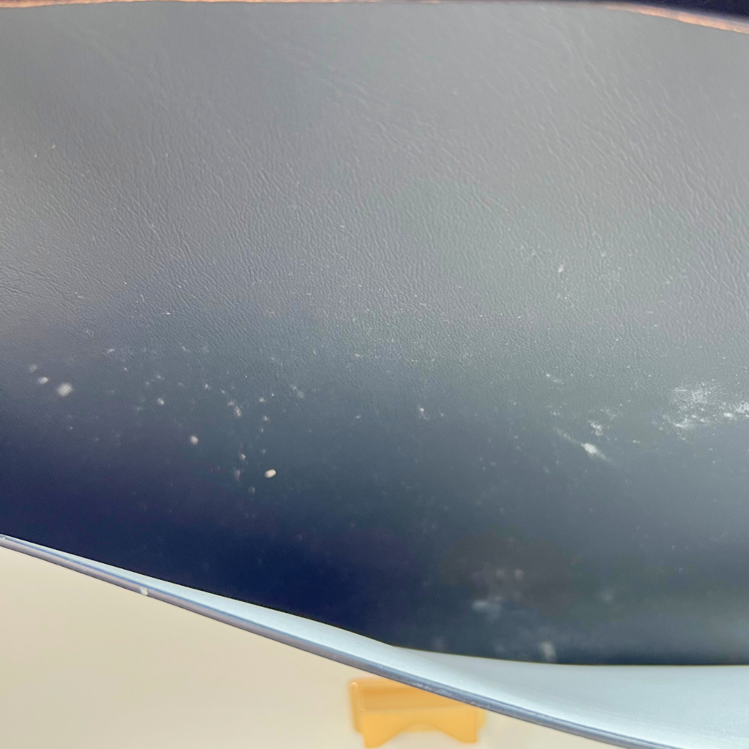 Zac Posen Two-way bag