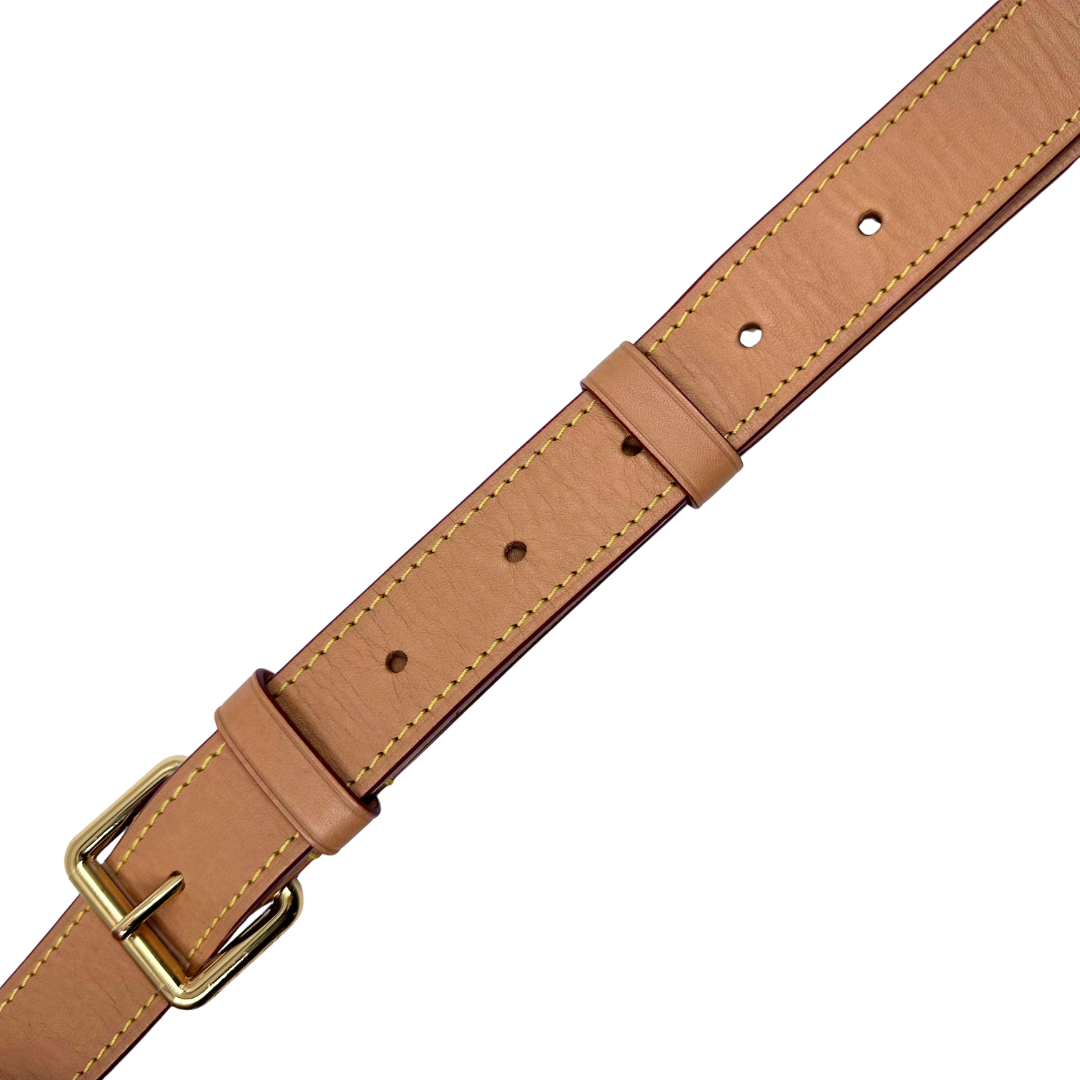 Louis Vuitton Monogram Odeon MM Crossbody