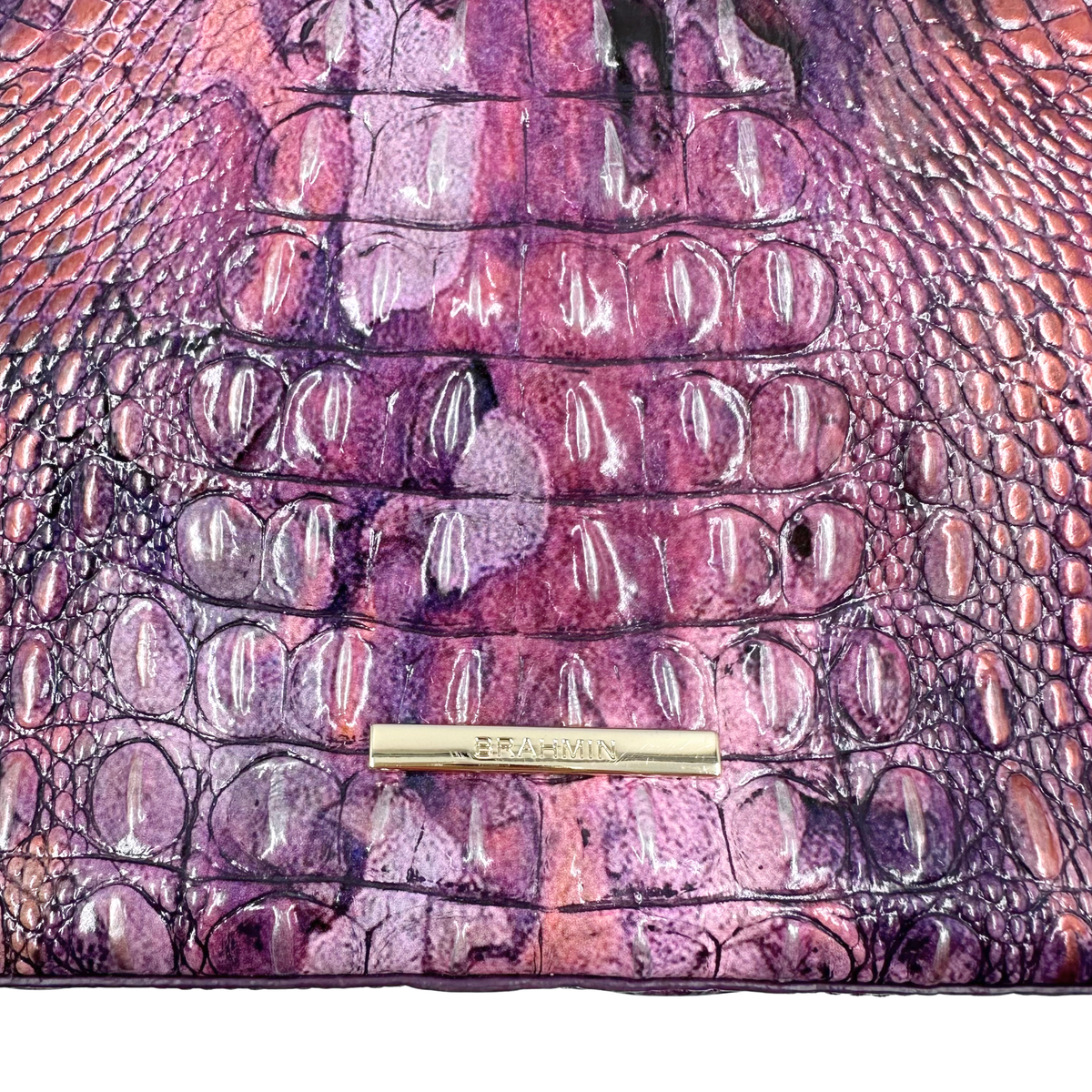 Brahmin Tote