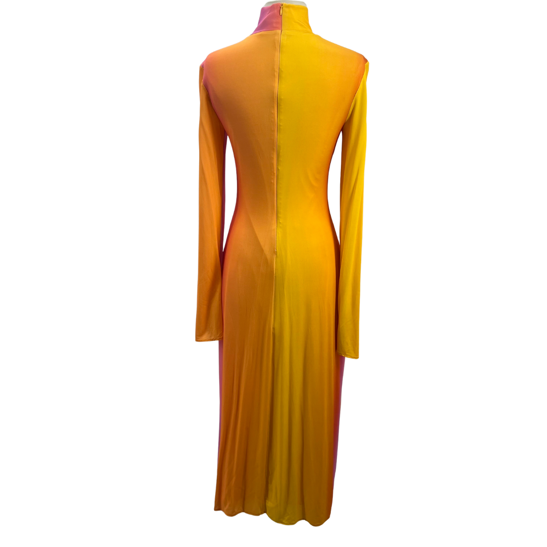 Ellery Pink Multi Maxi Dress