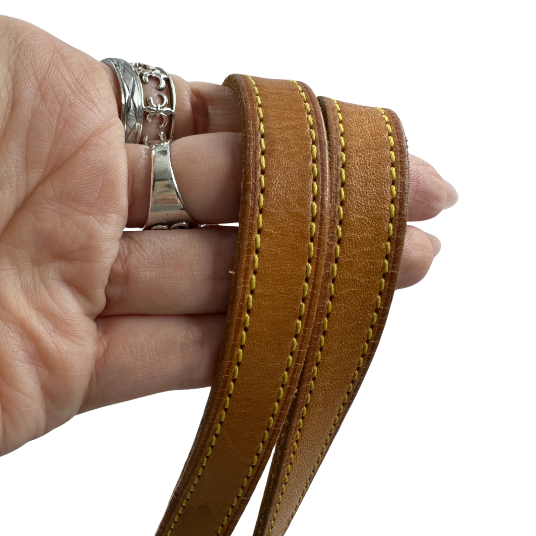 Louis Vuitton Top Handle Bag