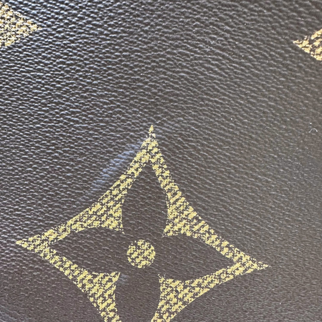 Louis Vuitton On The Go MM