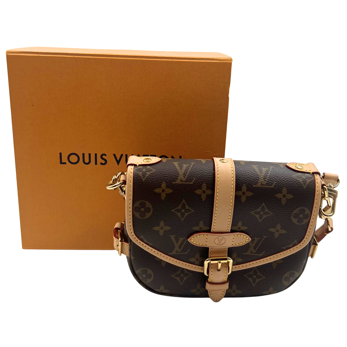 Louis Vuitton Saumur BB Two-way bag