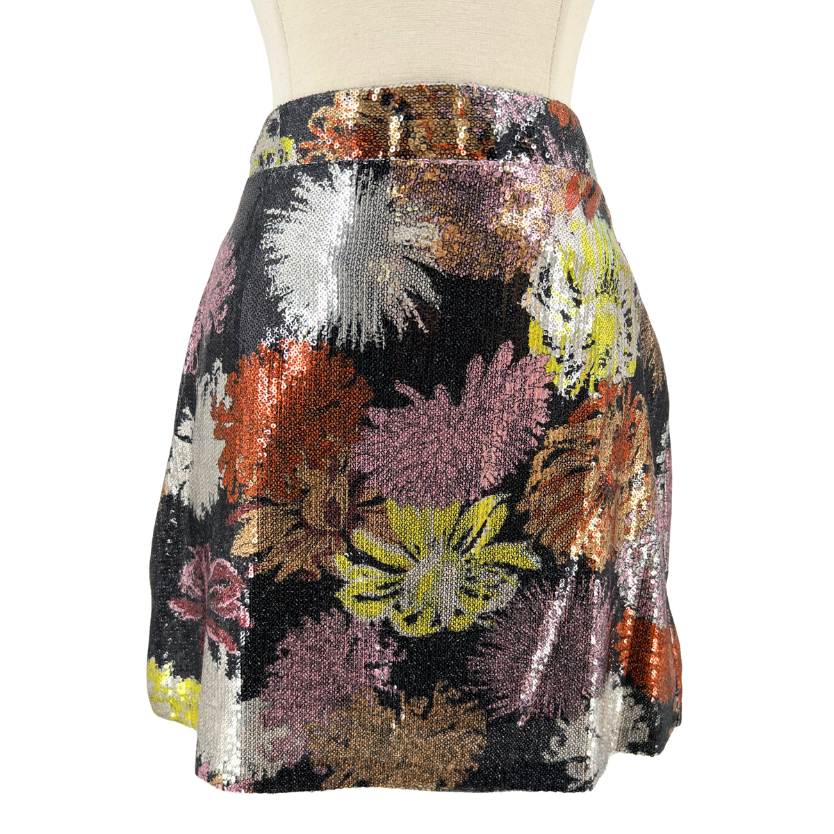 Zara Multi-Color Skirt