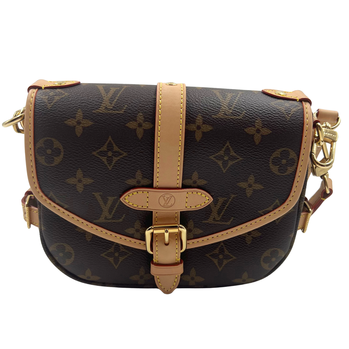 Louis Vuitton Saumur BB Two-way bag