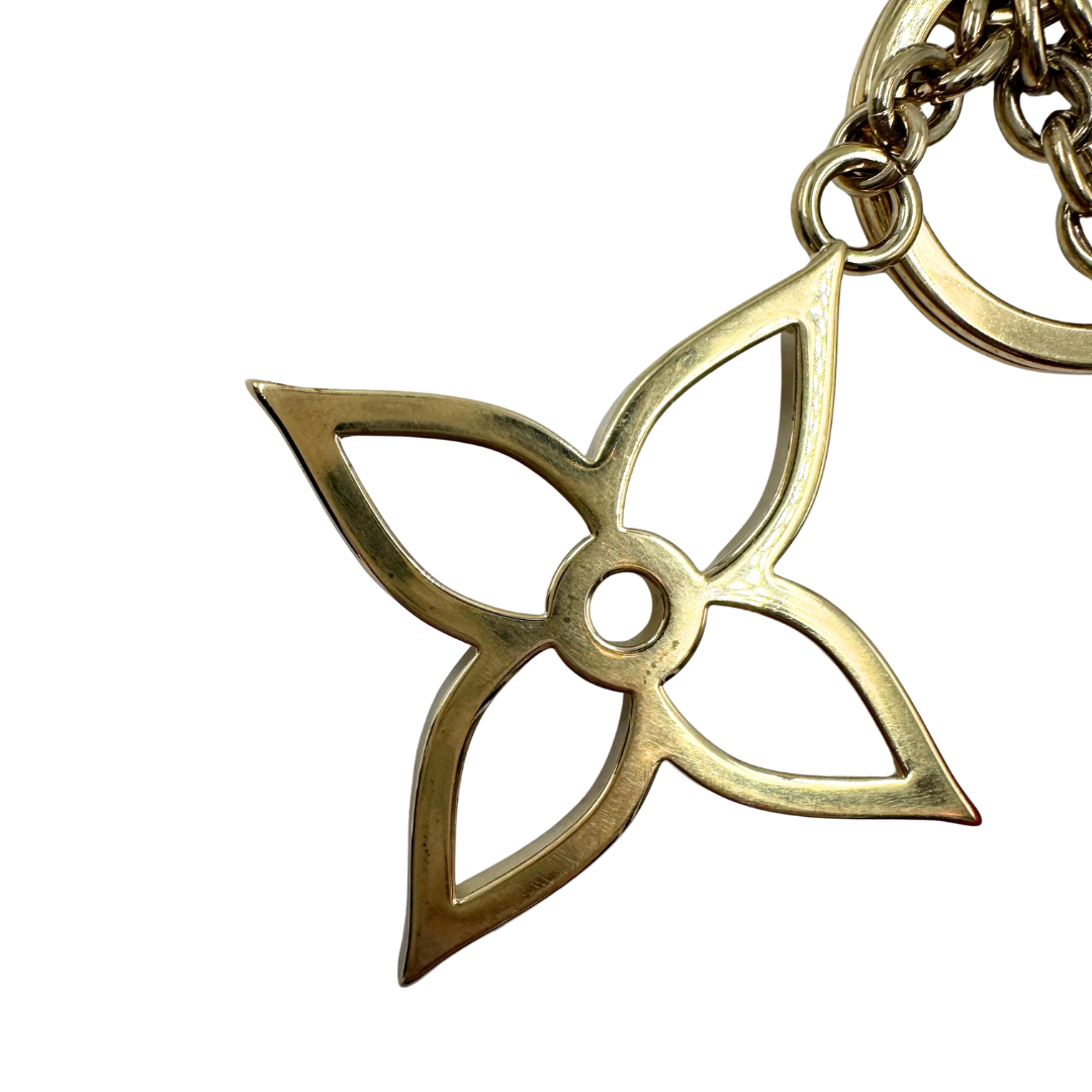 Louis Vuitton Keychains
