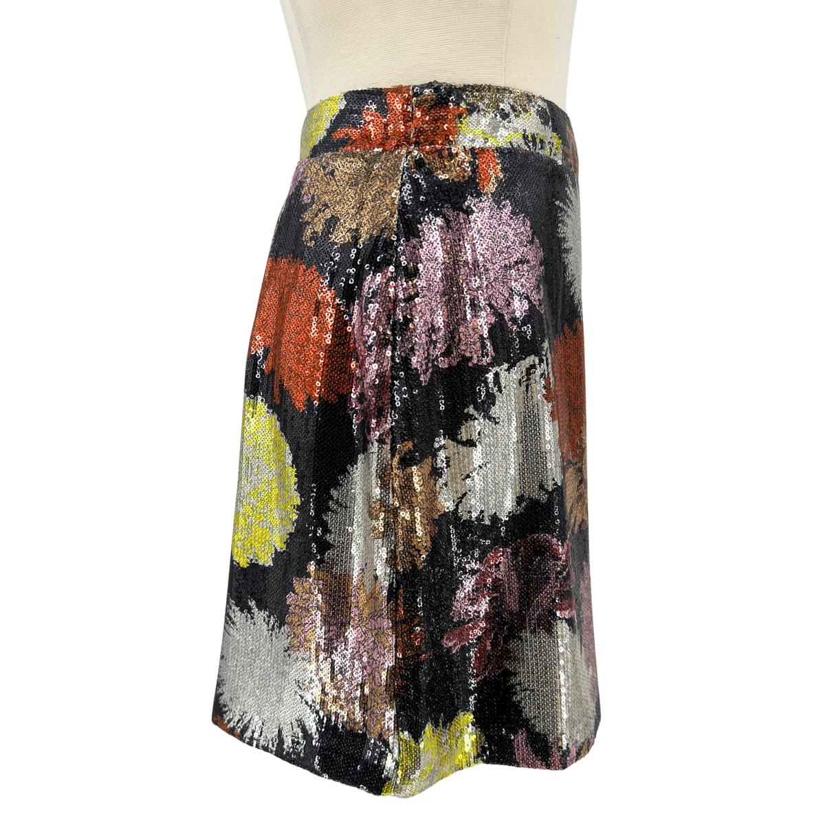 Zara Multi-Color Skirt