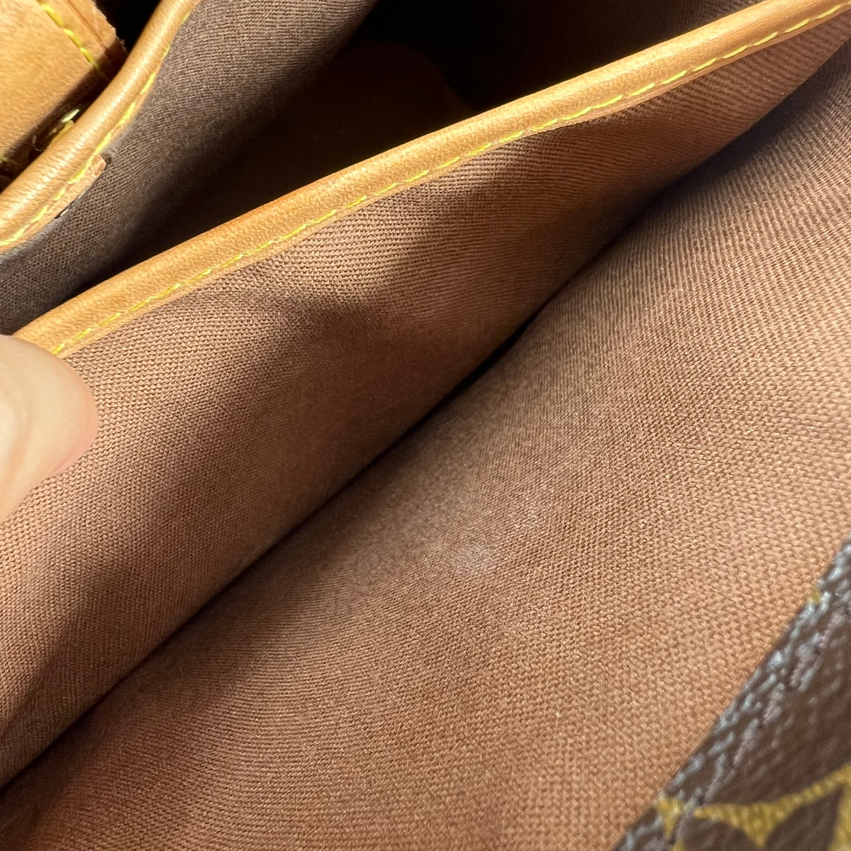Louis Vuitton Panda Vain Top Handle Bag