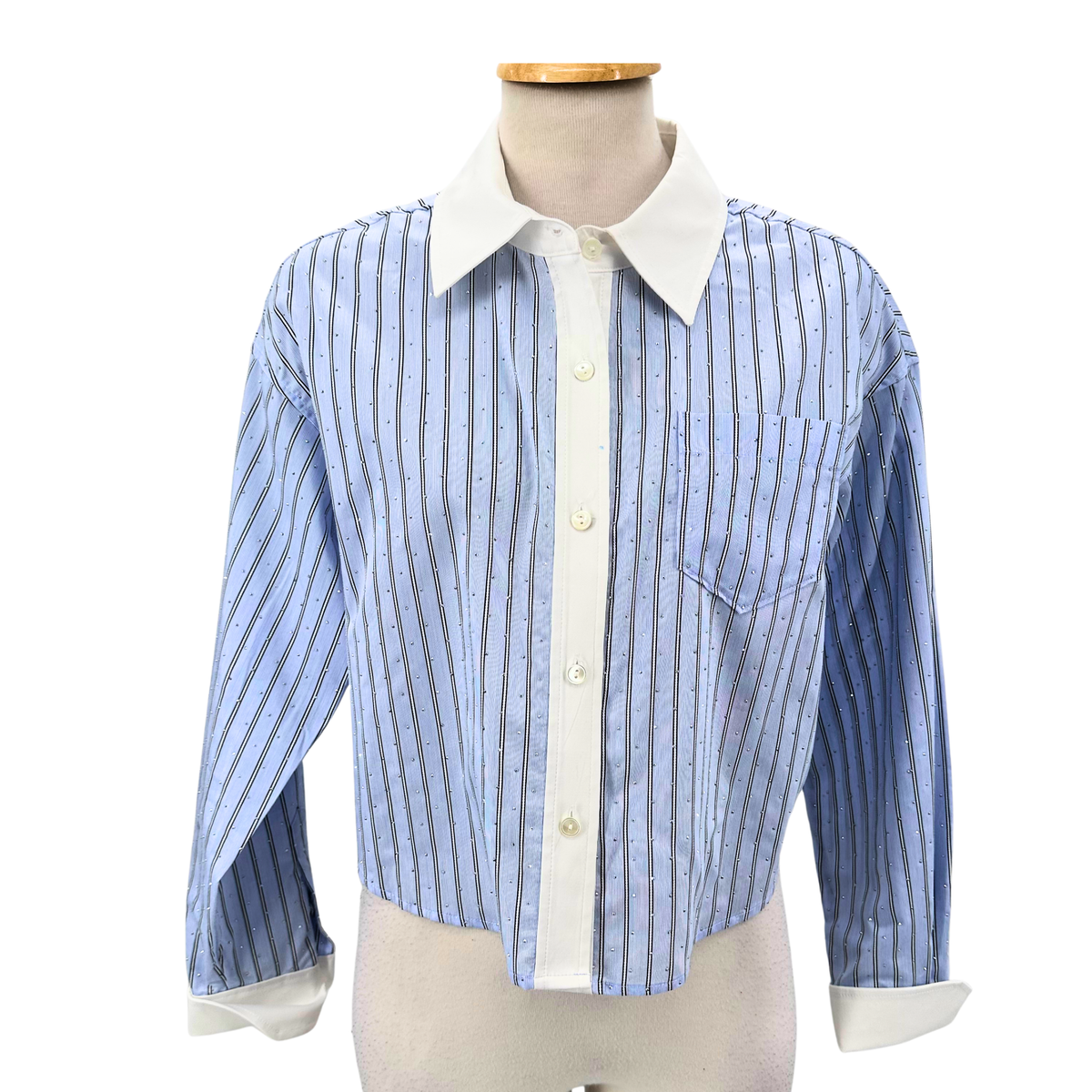 Ramy Brook Blue/White Button Down