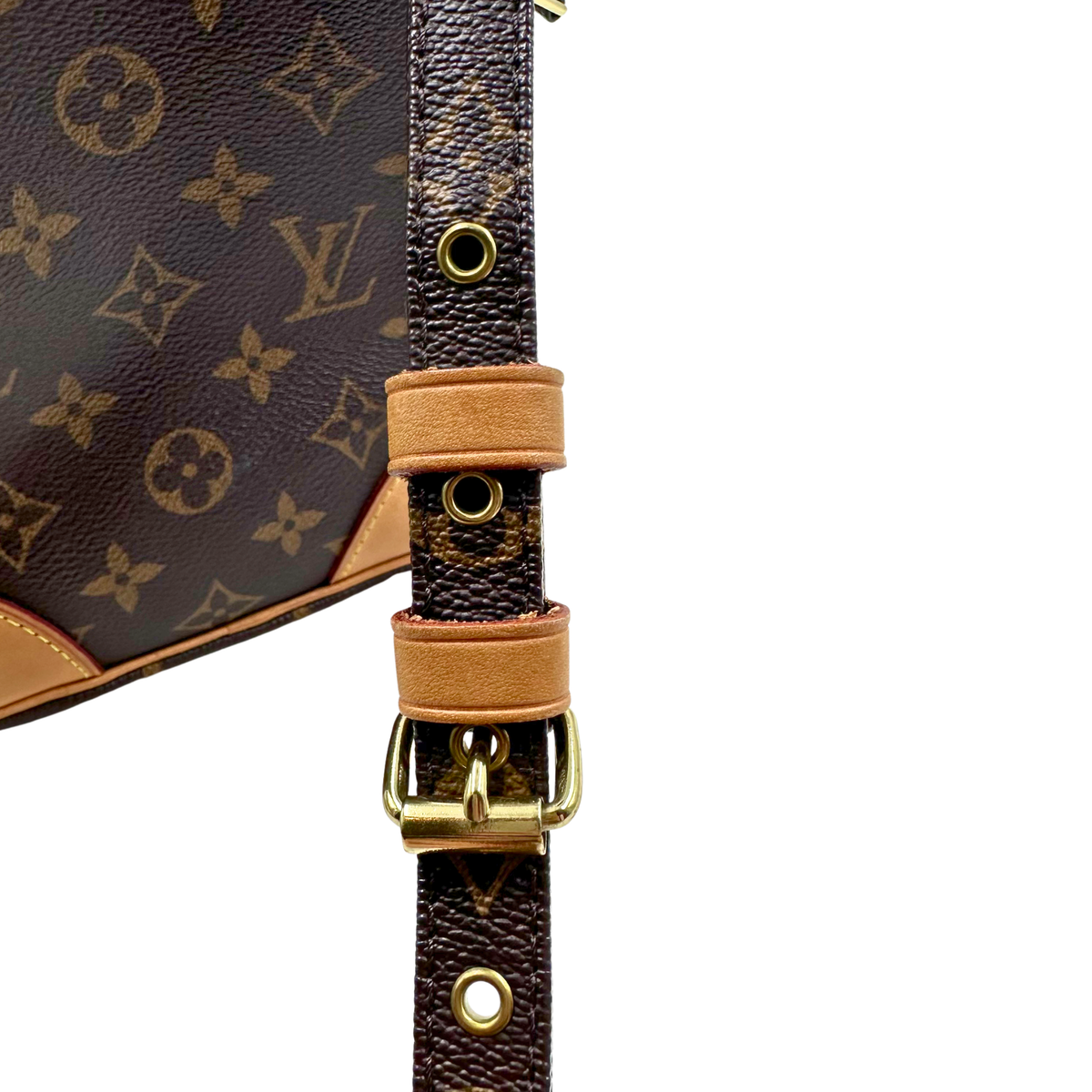 Louis Vuitton Amazone Crossbody