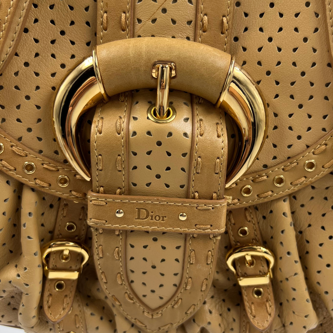 Christian Dior Savane bag