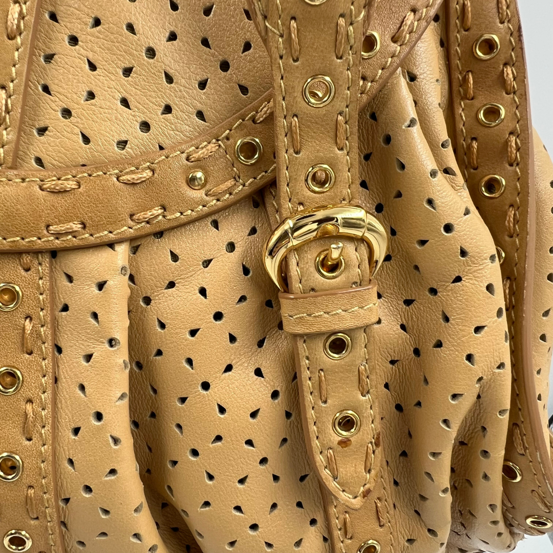 Christian Dior Savane bag