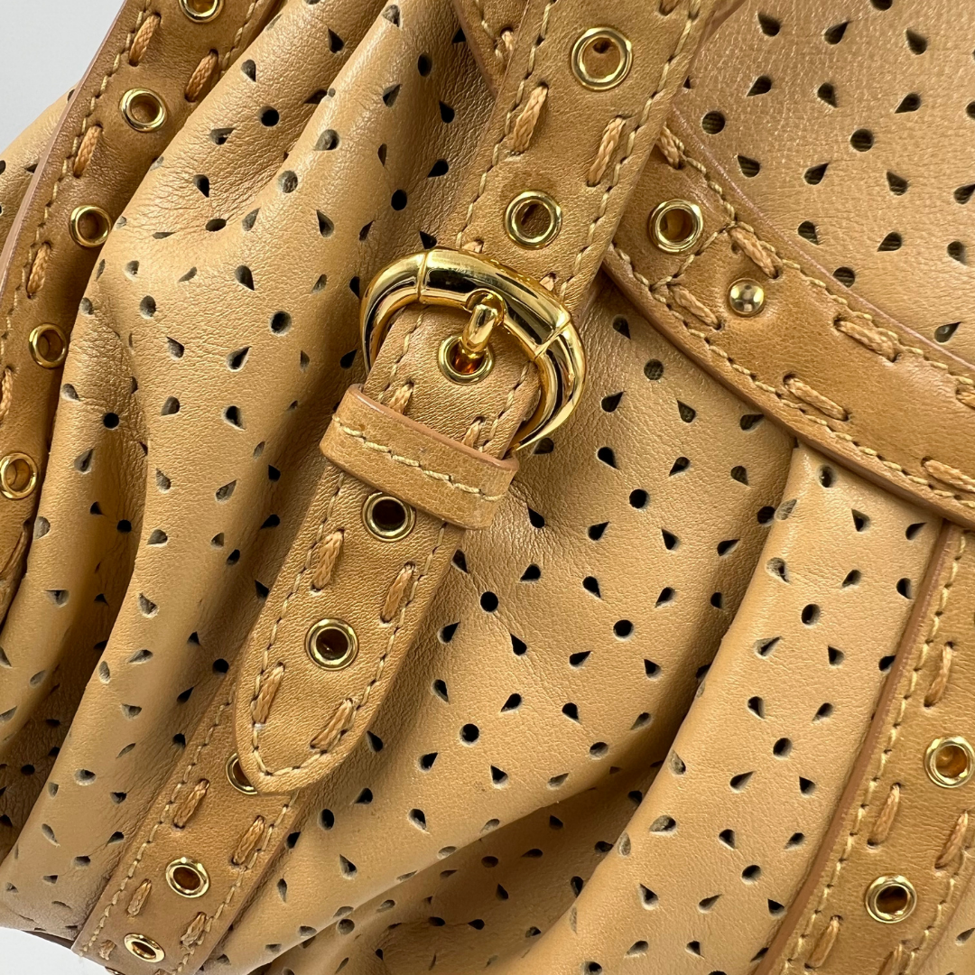 Christian Dior Savane bag