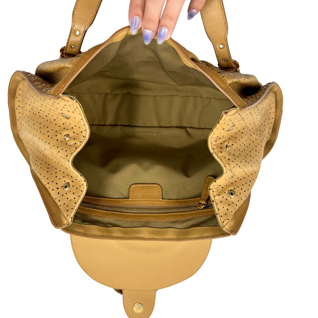 Christian Dior Savane bag