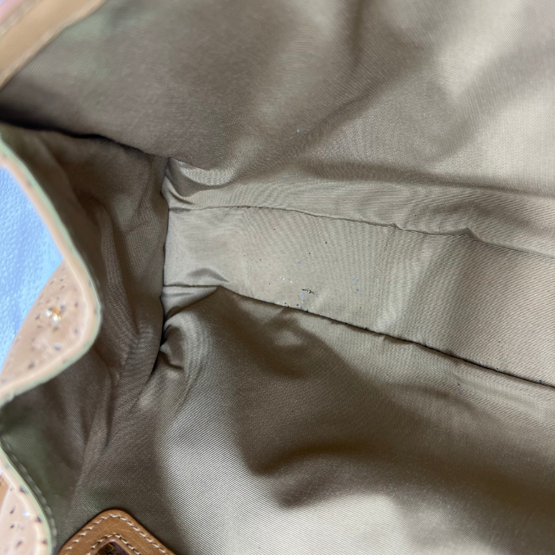 Christian Dior Savane bag