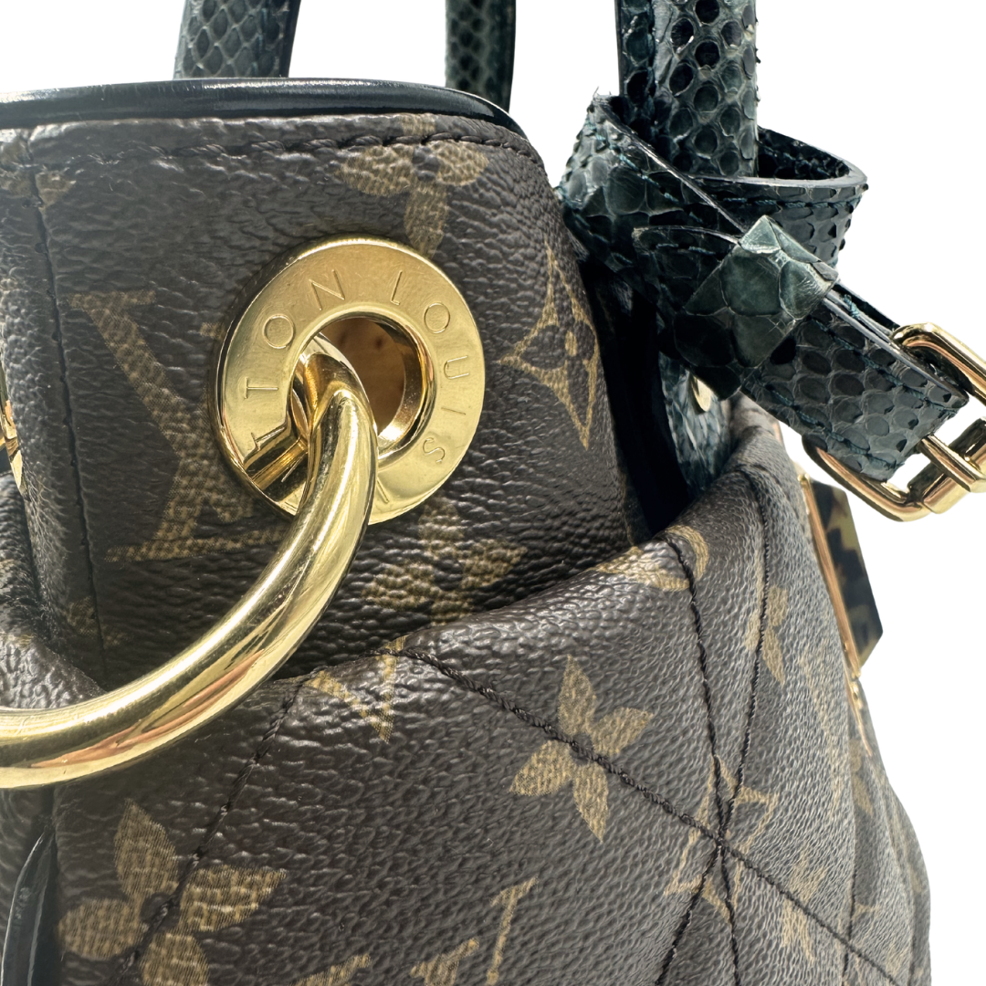 Louis Vuitton Monogram Etoile Exotique Two-way bag
