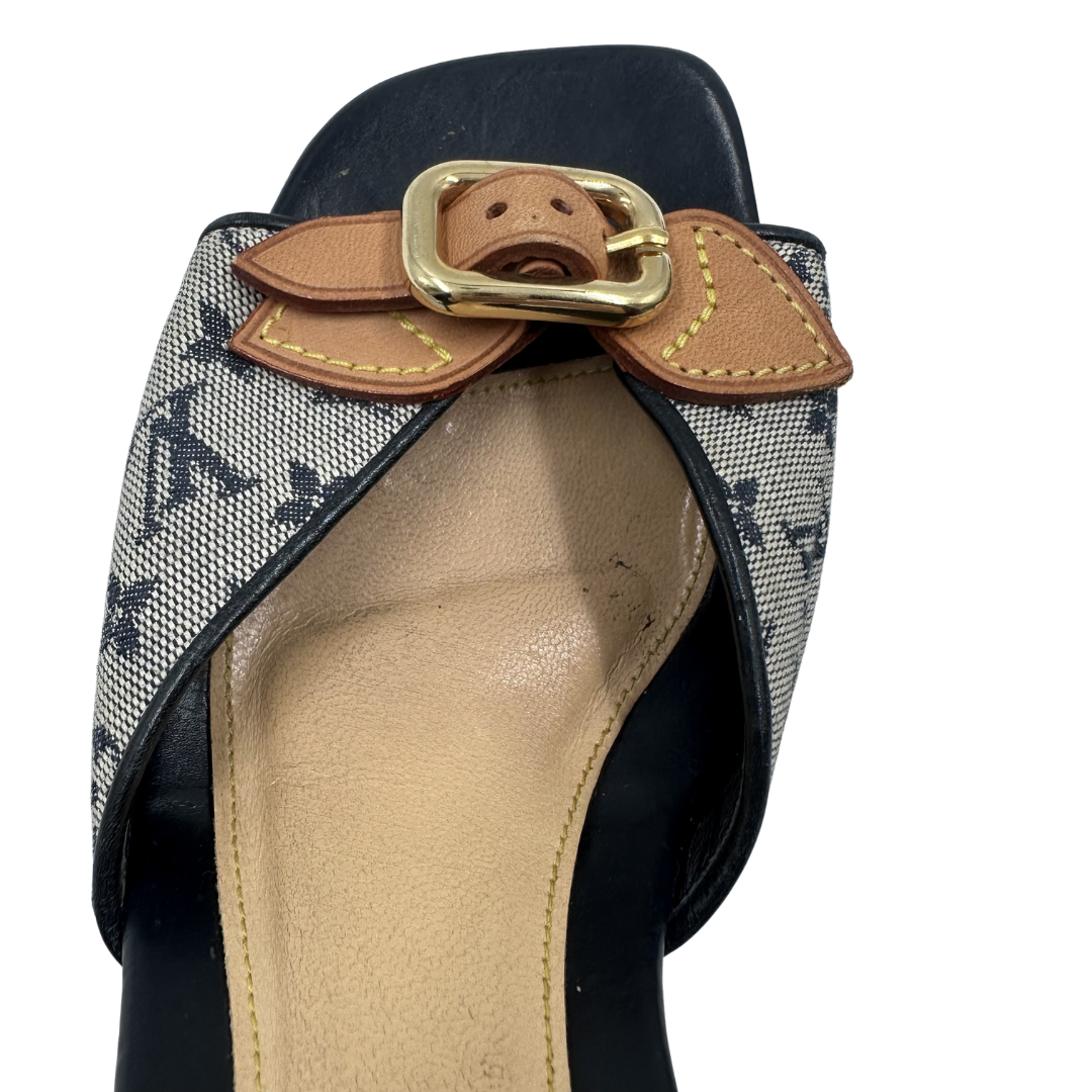 Louis Vuitton 35.5 Gold Heels