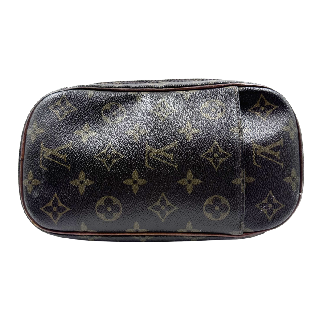 Louis Vuitton Pochette Gange Belt Bag